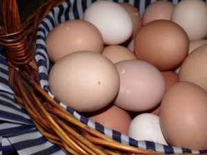 eggs-2-1182119